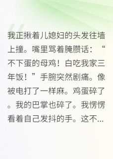 好文热推小说穿成恶毒婆婆后，我成了全家团宠主角守业周晚晴秋菊全文在线阅读