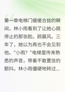 全章节小说实习第一天撞见初恋上司思甜小姐最新阅读