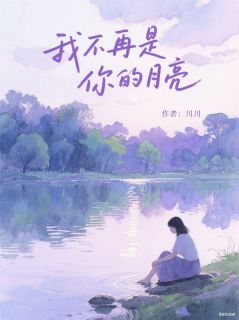 值得熬夜看完的我不再是你的月亮小说阅读