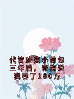 （全本）代管班费小荷包三年后，青梅说我吞了180万主角乔宇宁雨全文目录畅读