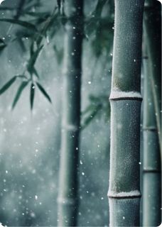 灵汐夜渊小说大结局在哪看-霜雪满途，为你而来完整版免费阅读-暗夜阅读网