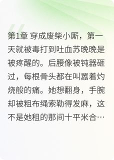 苏晚晚林修远谢景行穿成对照组后，她躺平了完结版小说全文免费阅读