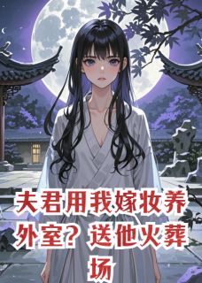 夫君用我嫁妆养外室？送他火葬场顾砚舟林月柔-小说未删减阅读