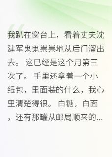 全网首发完整小说重回1982，我和青梅竹马的纠葛主角沈建军宋志远在线阅读