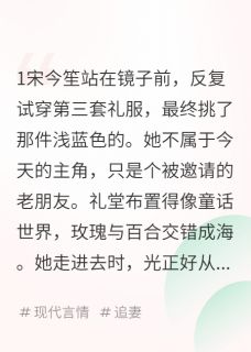 沈徵陆宴时宋今笙(原文完整)用余生等来你结婚的消息无弹窗免费阅读