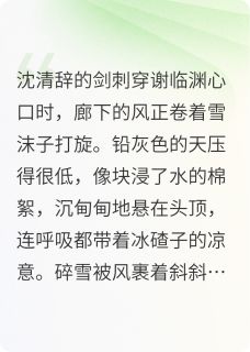 老书虫书荒推荐剑落时txt小说阅读