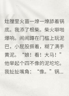 萌宝带球跑，爹地追到古代小说的书名是什么