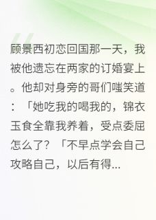 主角是顾景西徐行之阮漫的小说顾景西初恋回国那一天最完整版热门连载