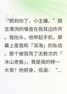 (抖音)夭寿了，榜一大哥竟是冰山老板顾言乔巧林晚小说免费全文阅读-暗夜阅读网
