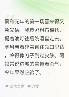 芸儿王安小说哪里可以看 小说又见忘忧客栈全文免费阅读