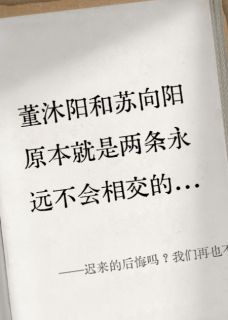 迟来的后悔吗？我们再也不见董沐阳苏向阳小说_迟来的后悔吗？我们再也不见完结版阅读