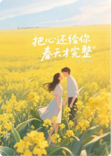 林羡沈砚是什么小说免费版阅读抖音热文