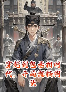 老书虫书荒推荐穿越包拯时代,沈槐险中求生txt小说阅读