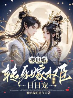 作者谁给我的勇气写的被退婚，转身嫁权臣日日宠小说大结局全章节阅读-暗夜阅读网