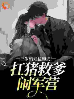 热门推荐三岁奶娃猛如虎！扛猪救爹闹军营by天空是寂寞小说正版在线-暗夜阅读网