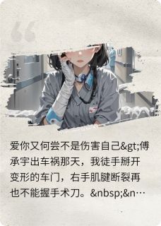 爱你又何尝不是伤害自己苏禾傅承宇林晚晚-小说txt全文阅读