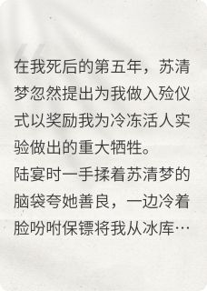 未婚夫将我冰冻五年后，他死了免费阅读全文，主角陆宴时苏清梦小说完整版-暗夜阅读网
