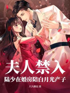 夫人禁入，陆少在婚房陪白月光产子乔茵陆一函全本小说（夫人禁入，陆少在婚房陪白月光产子）全章节小说目录阅读