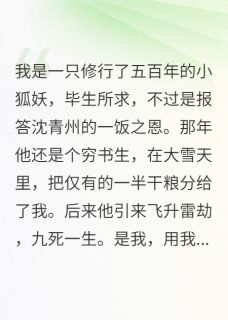 为报恩我以身殉道，他却没认出我（沈青州瑶光仙子）精彩小说目录阅读