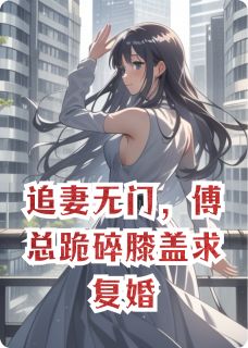 追妻无门，傅总跪碎膝盖求复婚小说(完结)-傅沛林薇谢梦蝶无删减阅读