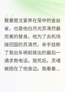 沈宴苏清然小说全文免费阅读我死后，渣男和他的白月光be了全文免费阅读-暗夜阅读网