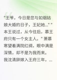 【弃王位追妻，慕王疯批了】小说在线阅读-弃王位追妻，慕王疯批了免费版目录阅读全文