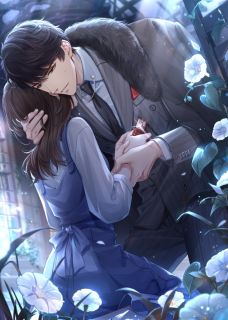 抖音情浅缘亦浅txt小说阅读
