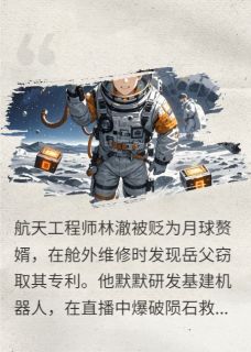 书荒必备林澈楚正雄小说