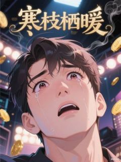 主角是顾默尘江宁安的小说寒枝栖暖最完整版热门连载
