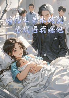 婚礼上羊水破裂，总裁逼我嫁他傅北辰赵霆宇苏欣然-小说未删减阅读