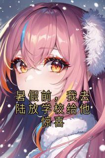 抖音暑假前，我去陆放学校给他惊喜by小说家在线阅读