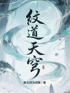 抖音小说纹道天穹林言灵纹苏瑶全文txt