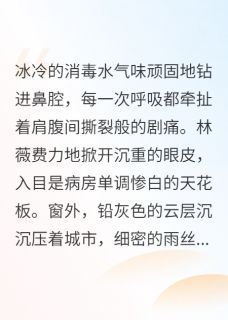 燃尽星河吻你林薇沈亦辰江砚全本小说（燃尽星河吻你）全章节小说目录阅读-暗夜阅读网