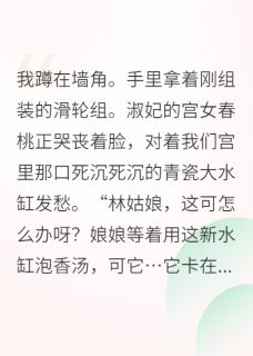 热文全后宫都在看我搞发明小说-主角苏云袖春桃琴轸全文在线阅读