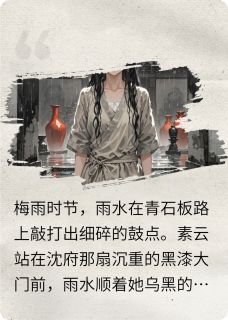 素云刘三沈万山主角的小说完结版血色瓷全集
