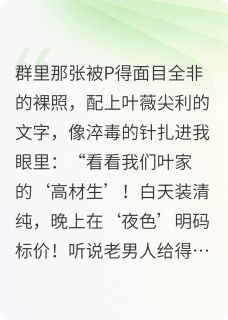 京圈贵少认崽后小说(完结)-张华叶薇无删减阅读-暗夜阅读网