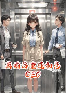 离婚后重逢初恋CEO小说百度云完整章节列表免费阅读