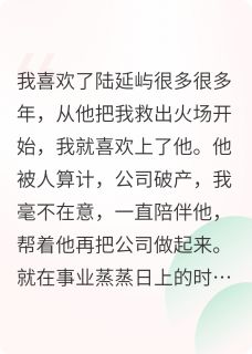 我决心分手后却被偏执男友缠上陆延屿欧润吉小说全文章节阅读-暗夜阅读网