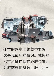 精彩小说血雨将至时林修苏雅李铮全章节在线阅读