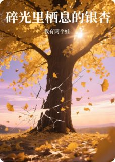 碎光里栖息的银杏许青梧顾屿小说完整在线阅读