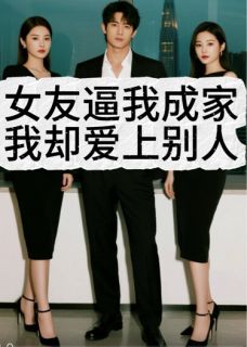 全本资源在线阅读女友逼我成家，我却爱上别人苏晚林遇-暗夜阅读网
