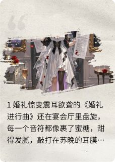结婚当天，霸道总裁占了我婚床精彩小说-结婚当天，霸道总裁占了我婚床目录阅读