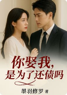 完整版你娶我，是为了还债吗？许意暖沈骁霆小说免费在线阅读