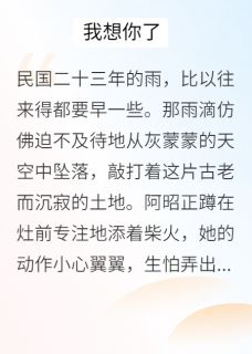 布鞋小说免费阅读 阿昭沈砚大结局完整版