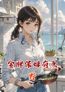 金牌保姆有点野无广告阅读 江渔苏夜免费在线阅读-暗夜阅读网
