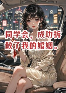 同学会，成功拆散了我的婚姻谌晚邬烬小说_同学会，成功拆散了我的婚姻完结版阅读