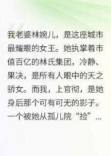 (抖音)结婚纪念日她带回了我的“替身”林婉儿高扬小说免费全文阅读