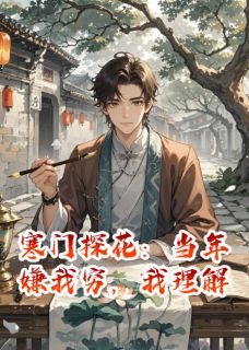 精彩小说苏婉娘沈郎寒门探花：当年嫌我穷，我理解全文目录畅读