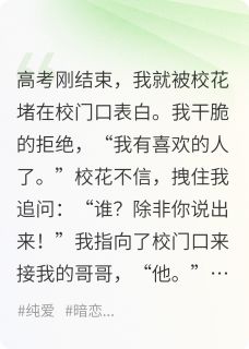 好文热推小说拒绝校花表白后,我攻略了哥哥主角靳叙白阿礼全文在线阅读