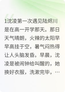 书荒必备沈凌陆烬川小说